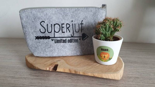 Tasje 'superjuf'