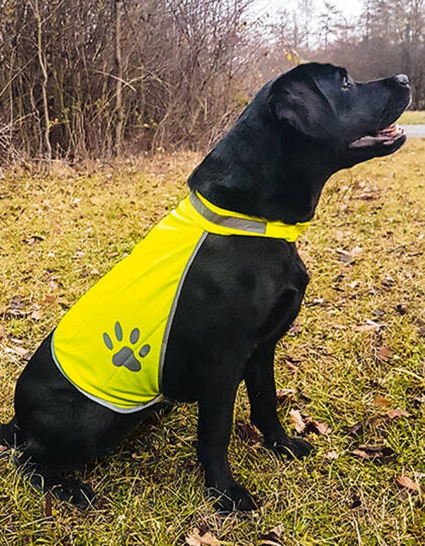 Veiligheidsvestje voor honden