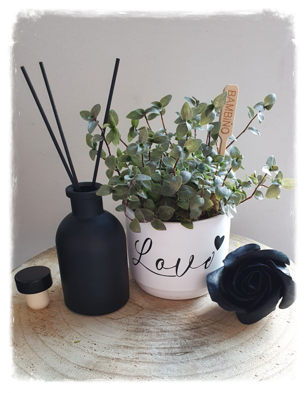 Set: huisparfumflesje en bloempotje