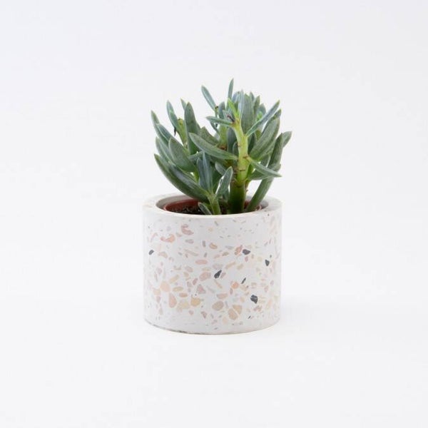 Terrazzo bloempot - wit