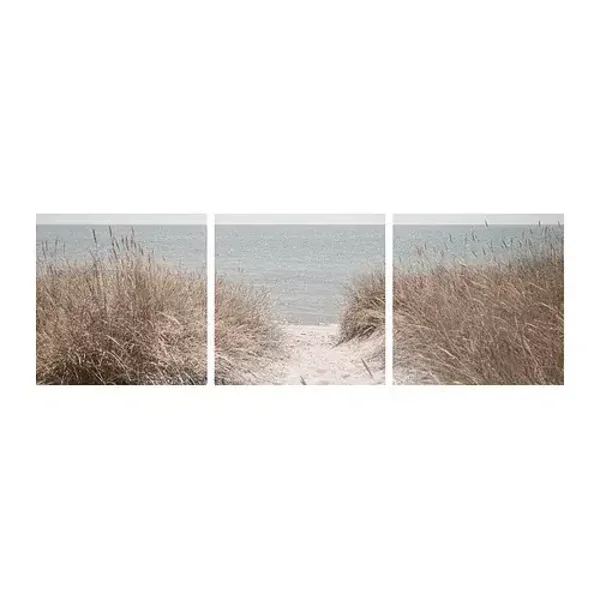 Cuadro, dunas suecas