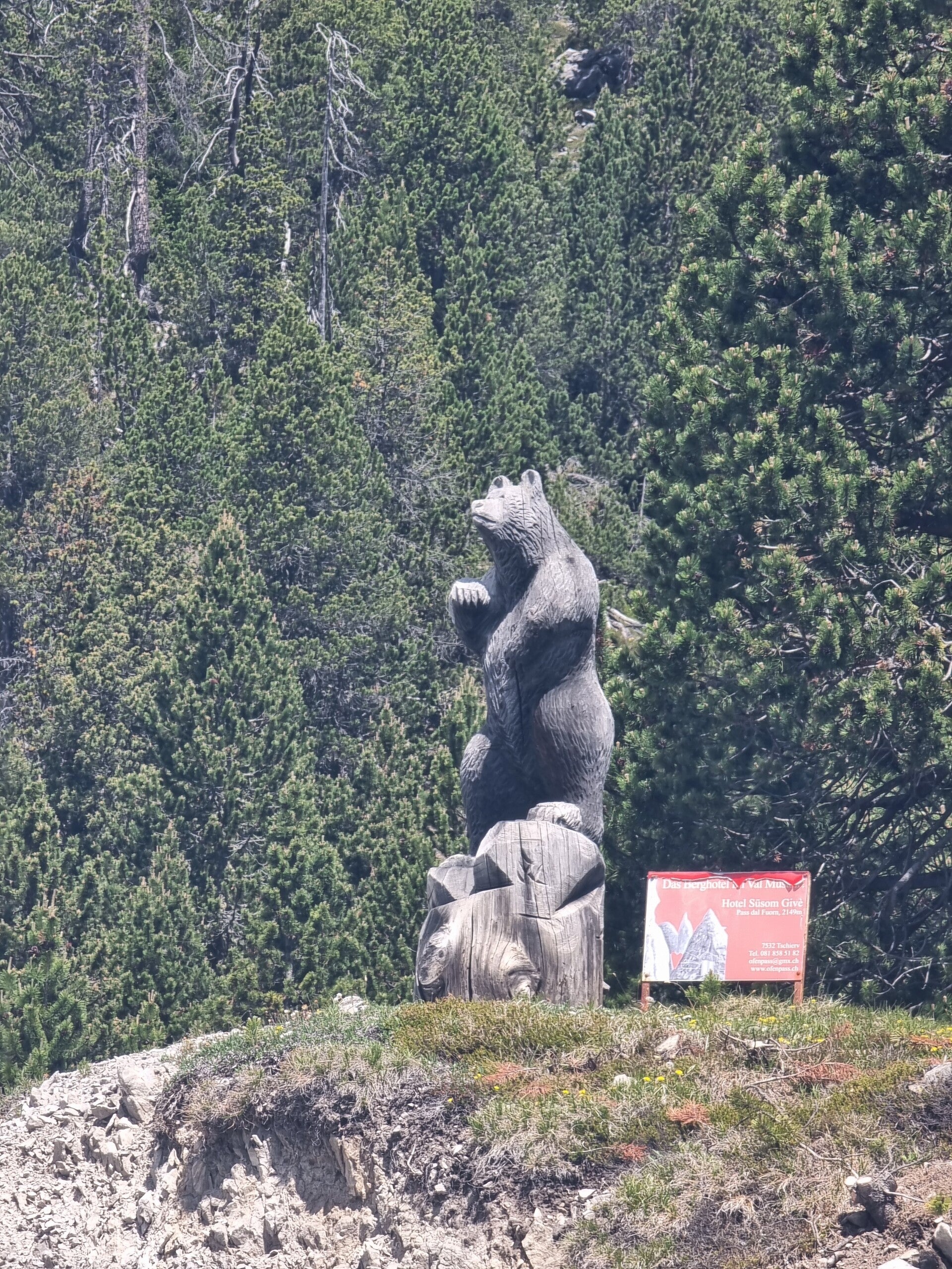 20260619_120337-standard.jpg
