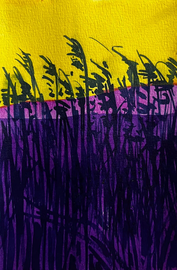 Riet