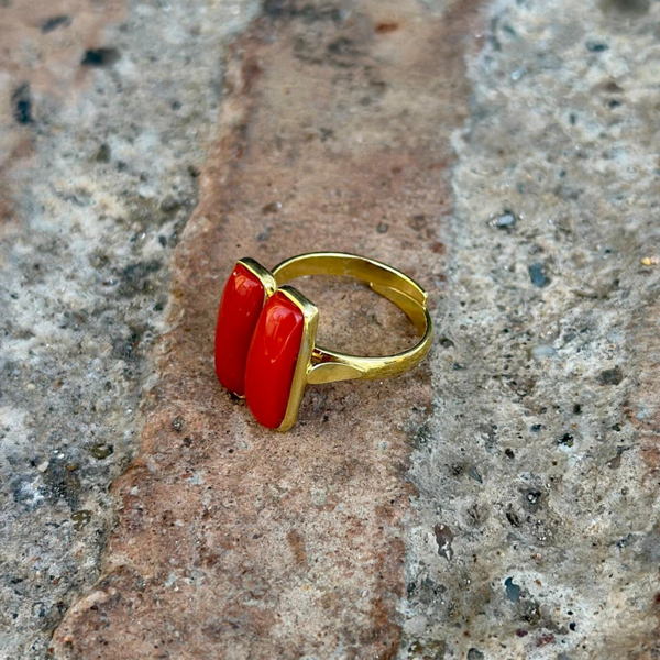 Anillo Índico