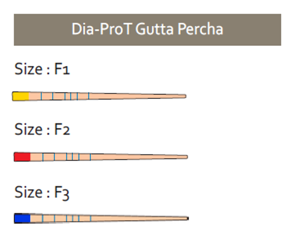 220123 DIADENT GUTTA PERCHA POINTS VOOR DIA-X D5 / PT F3 BLAUW (60st)
