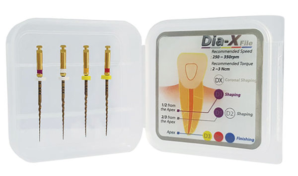 103930 DIADENT DIA-X FILE D1-D4 (S1-F2) STARTERKIT 21mm (4st)