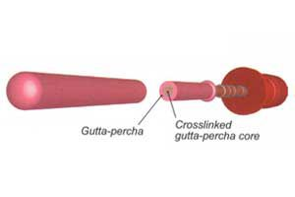 223025 GUTTA CORE PINK OBTURATORS 025 (6st)