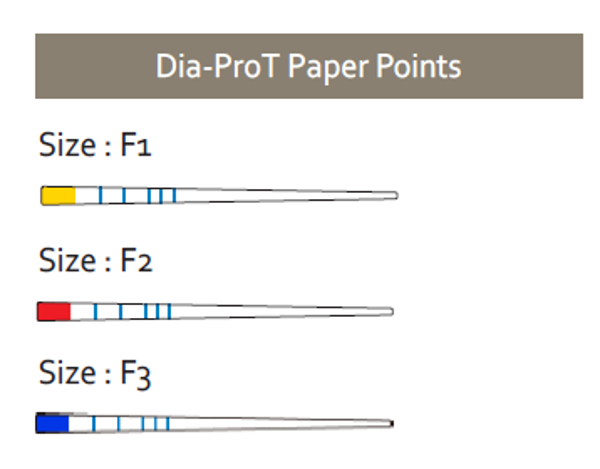 220761 DIADENT PAPERPOINTS VOOR DIA-X D5 / PT F3 BLAUW (100st)