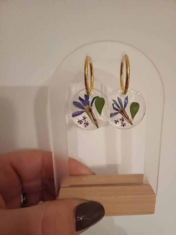 Transparentes et fleurs séchées