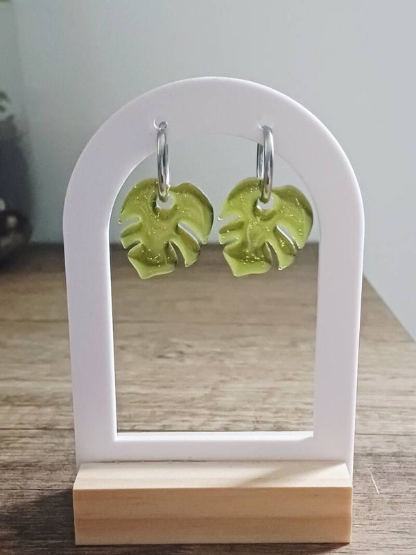 Feuilles monstera vertes