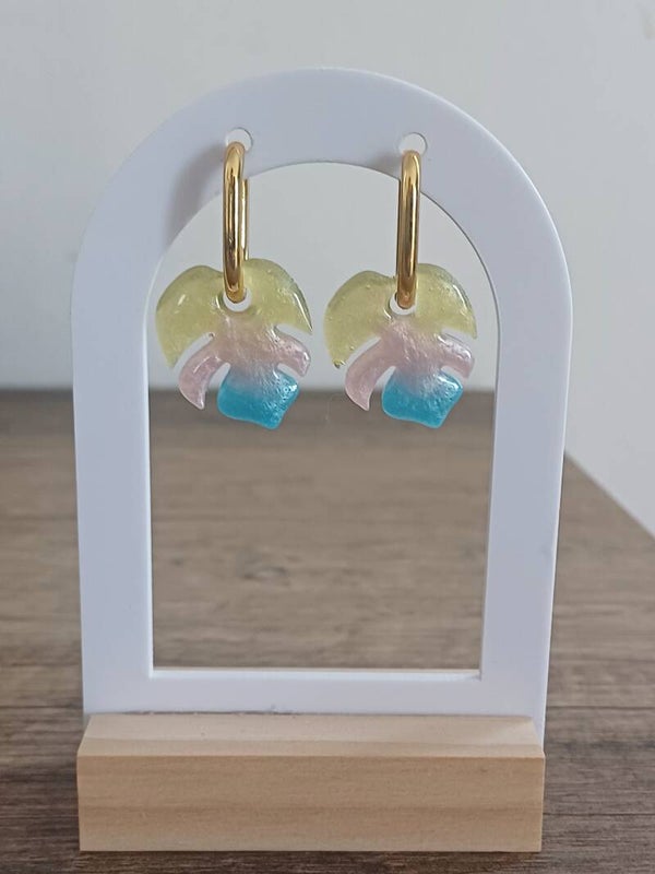 Monstera arc en ciel