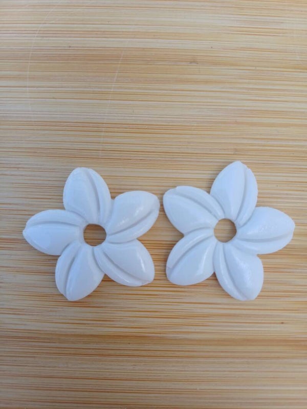 Grandes hibiscus blanches