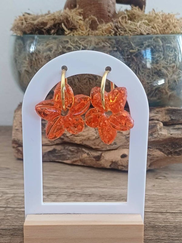 Hibiscus oranges à paillettes