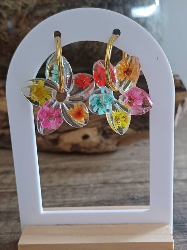 Hubiscus avec fleurs séchées