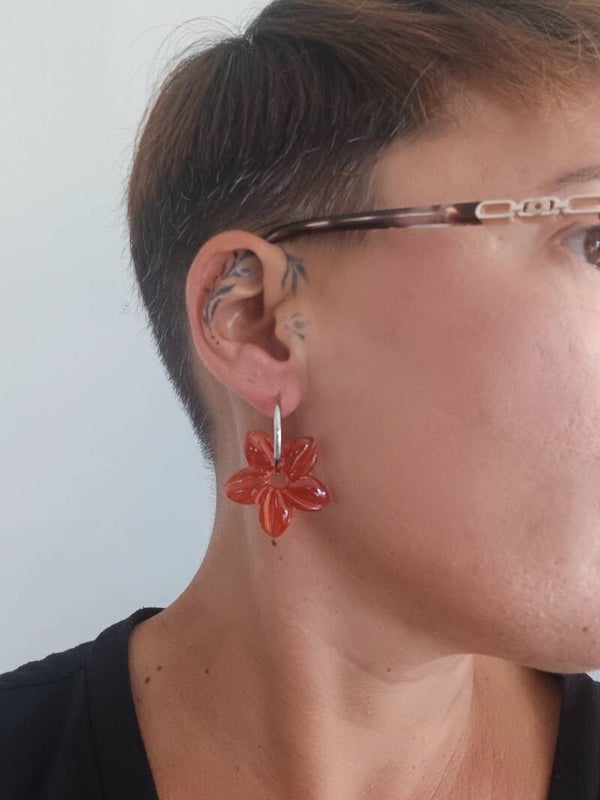 Hibiscus rouges