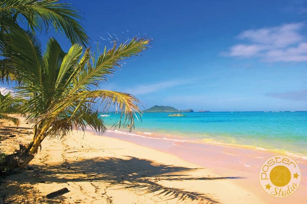 Strand, zee en palmboom