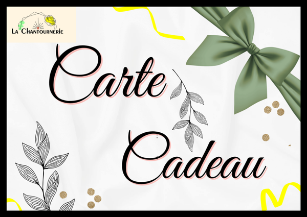 Carte Cadeau