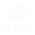 Fit Simpel
