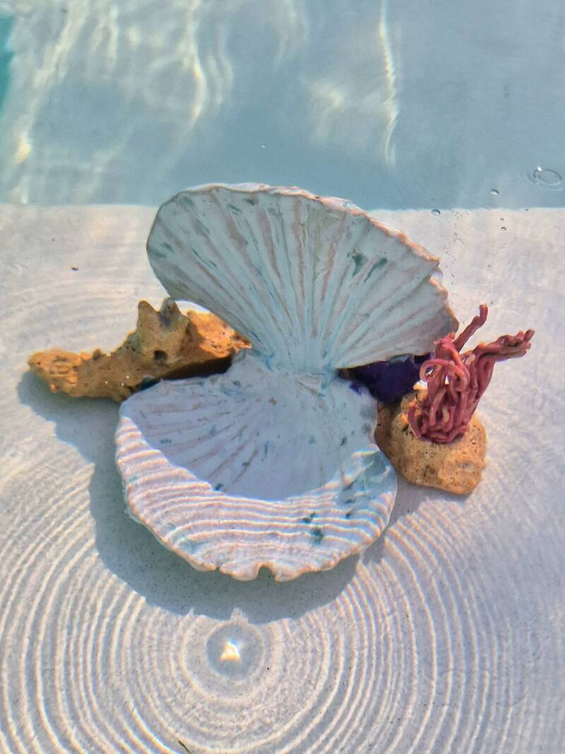 Rafke Hotterbeekx Keramiek