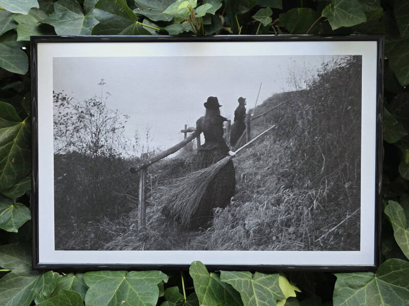 Ingeborg Steenhorst Photography © 2025 