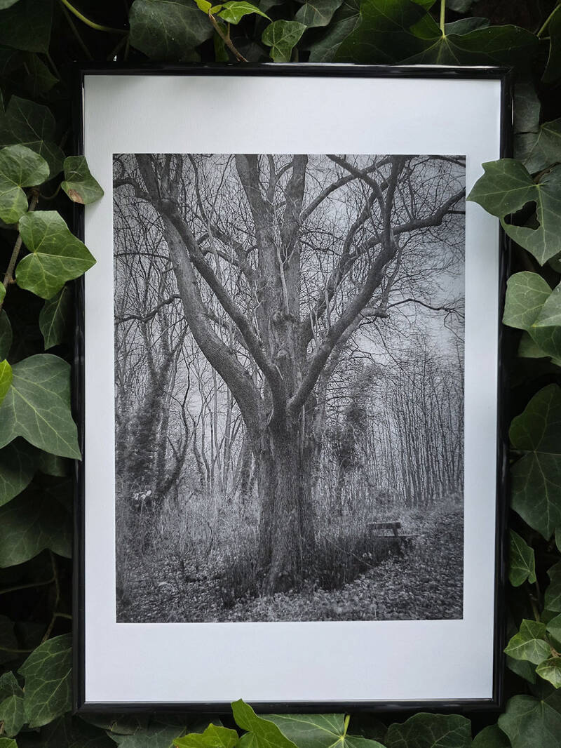 Ingeborg Steenhorst Photography © 2025 