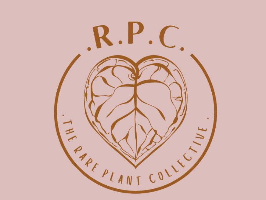 Blog The Rare Plant Collective blog-the-rare-plant-collective