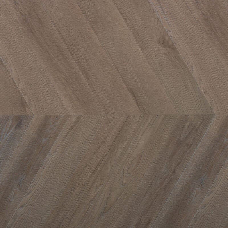 Douwes Dekker Ambitieus Klik Hongaarse Punt Spekkoek