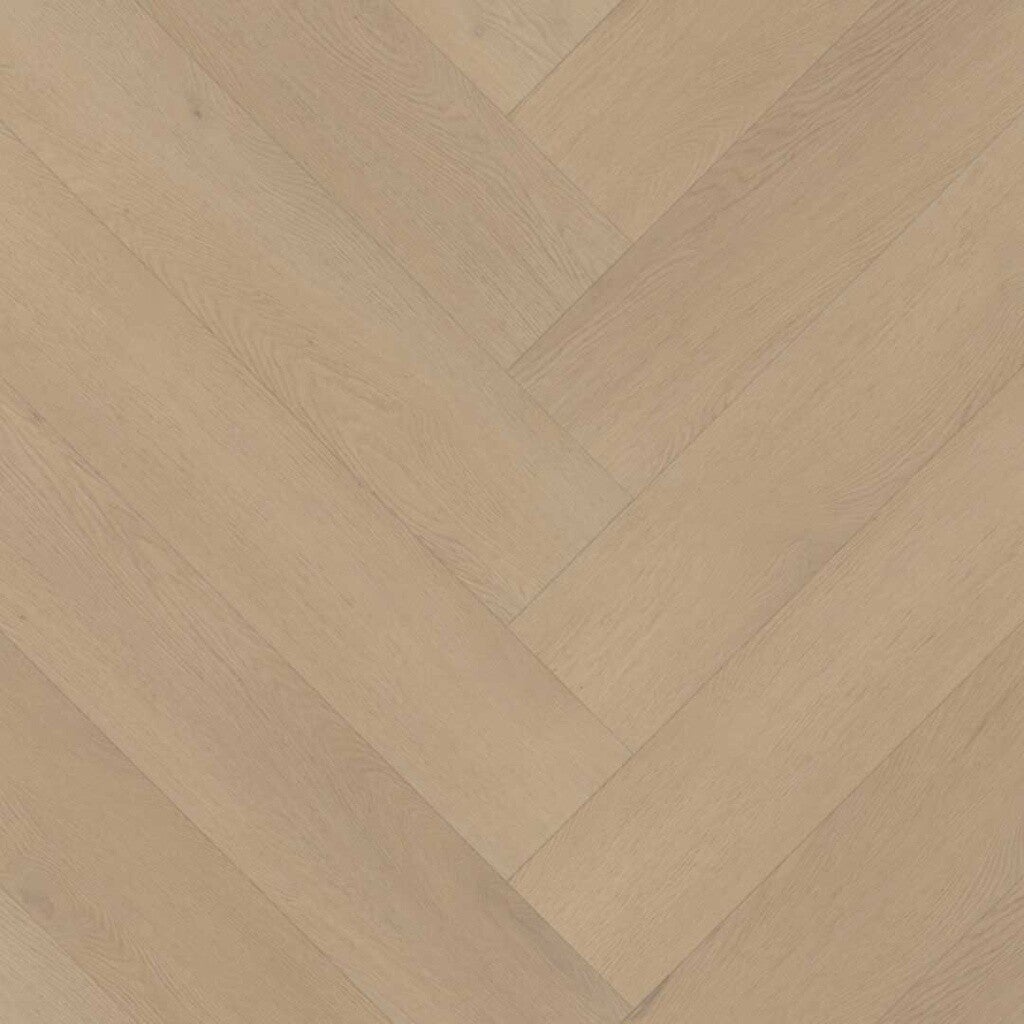 Belakos Palazzo Visgraat XL 77