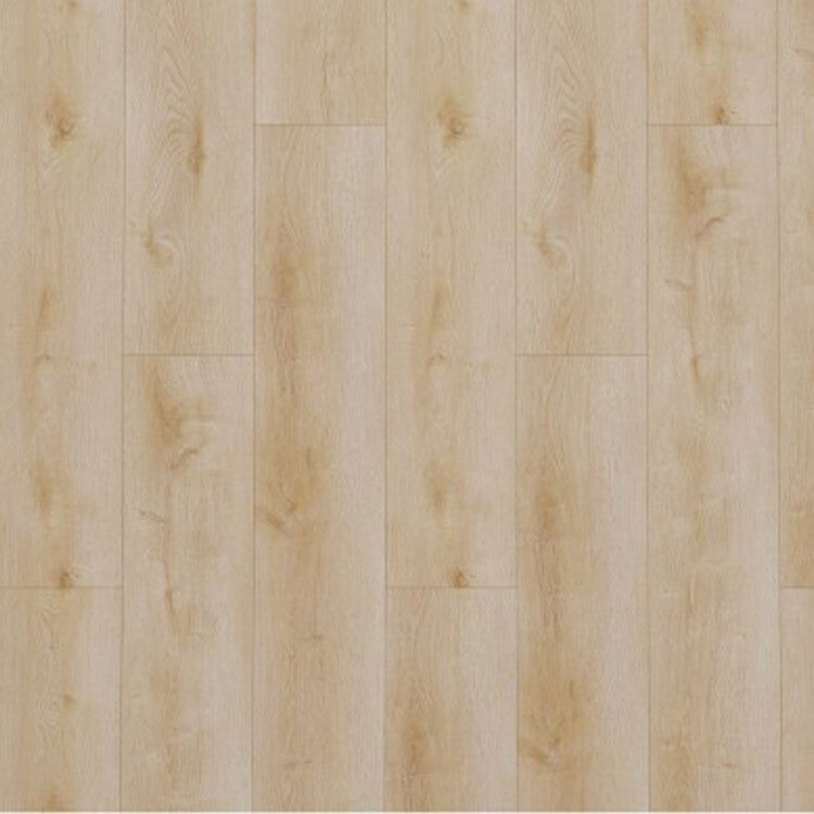 Floors Delight Natural Light