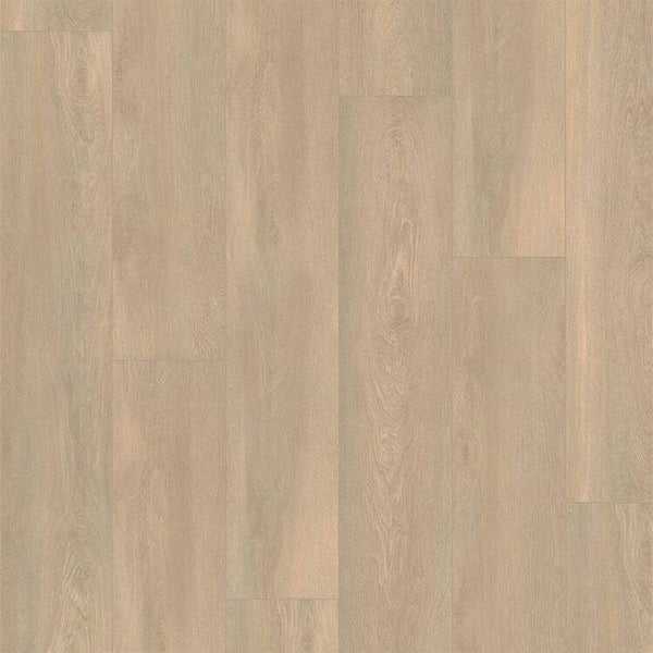 Ambiant Arnstadt Natuur Eiken