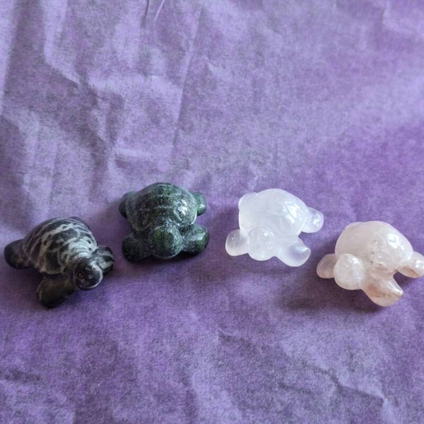 Tortue