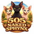 505 Naked Sphynx
