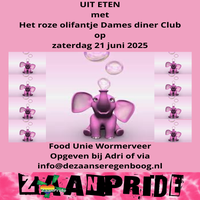 2025-06-21-uit-eten-met-hte-roze-olifantje-dames-diner-groep-standard.png