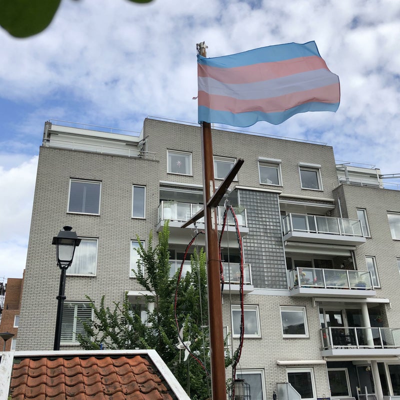 Trans-1.jpg