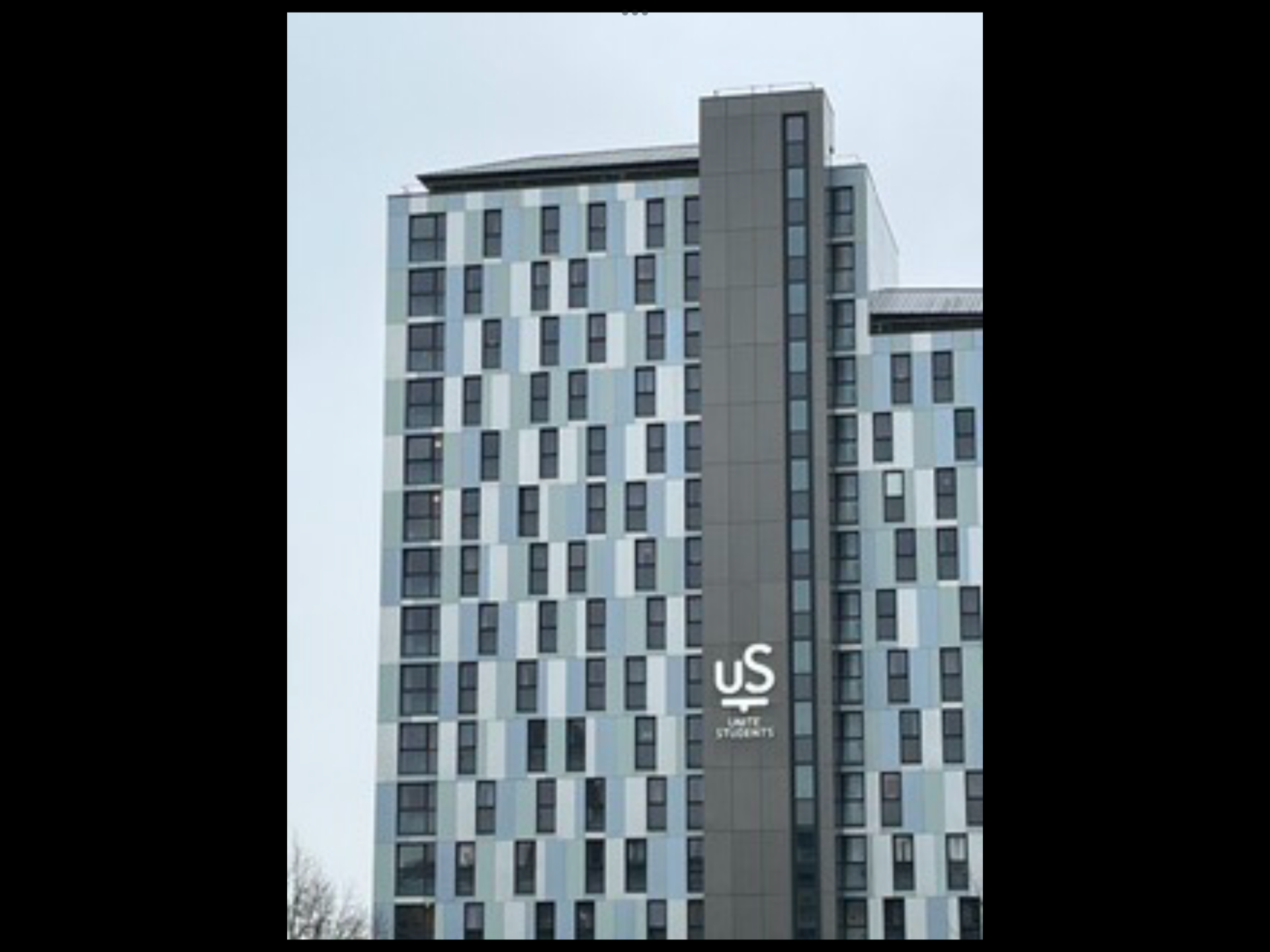img_0717-standard.png