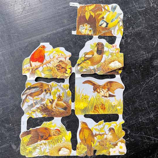 Poëzie plaatjes "Vogels met nest"