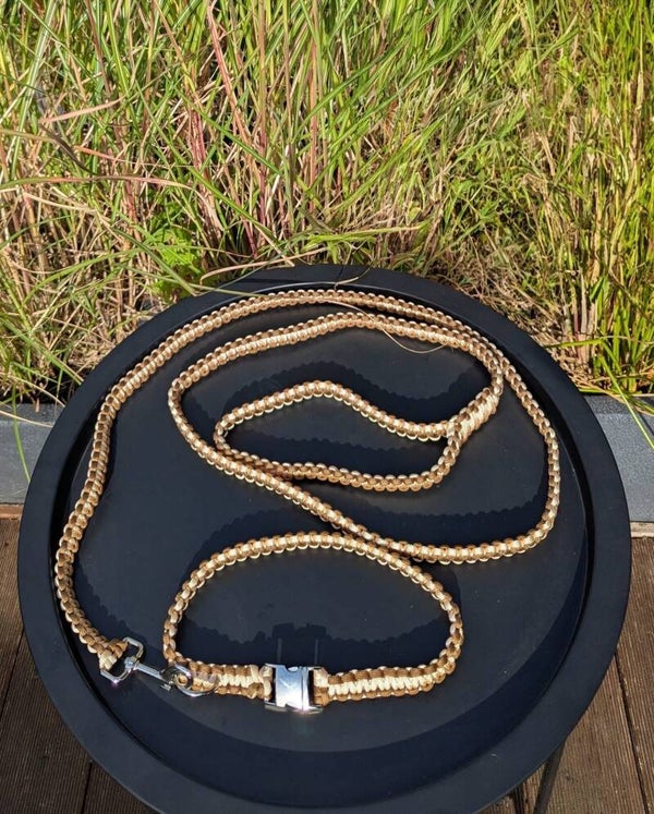 Sofortkauf Leine & Halsband in braun-beige