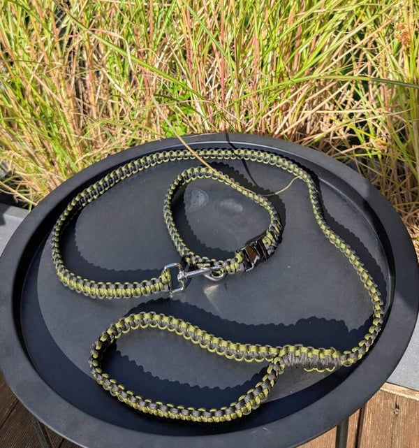 Sofortkauf Leine & Halsband in Khaki