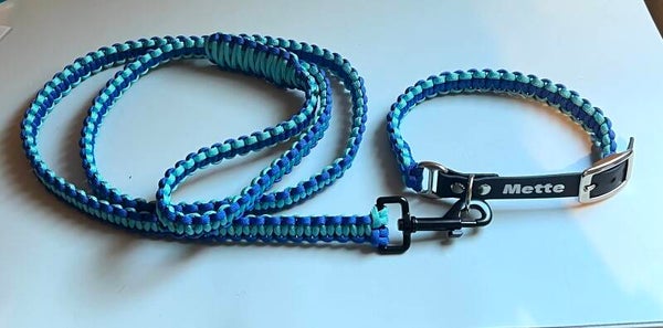 Hundeleine und Halsband 120 cm