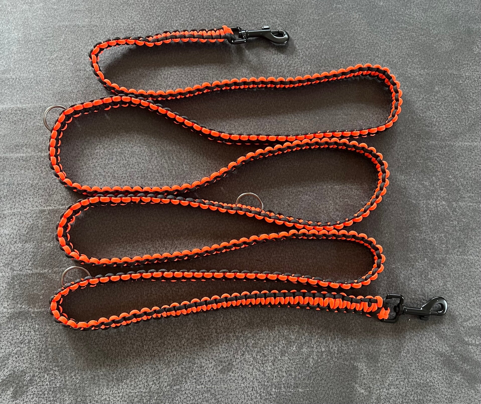 Hundeleine und Halsband 240 cm