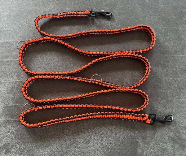 Hundeleine und Halsband 240 cm