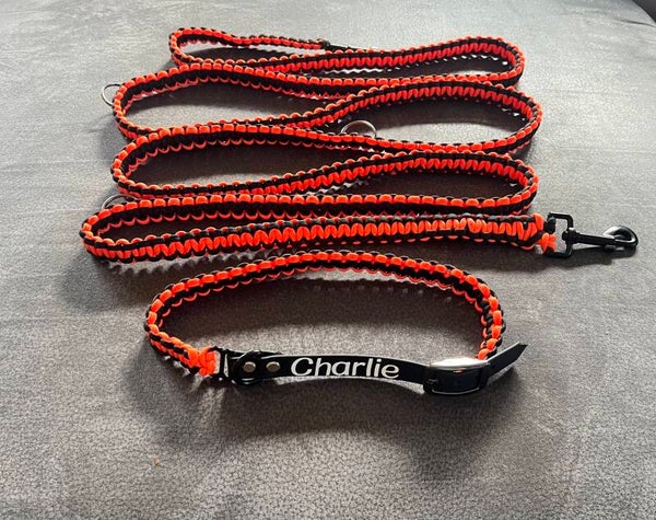 Hundeleine und Halsband 300 cm