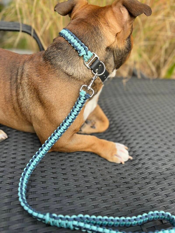 Hundeleine und Halsband 60 cm (Kurzführerleine)