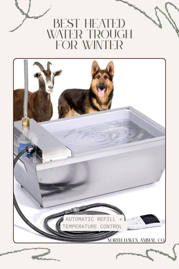 Best Heated Water trough for Water