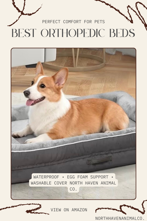 Orthopedic Dog Bed for Large Dogs | North Haven Animal Co