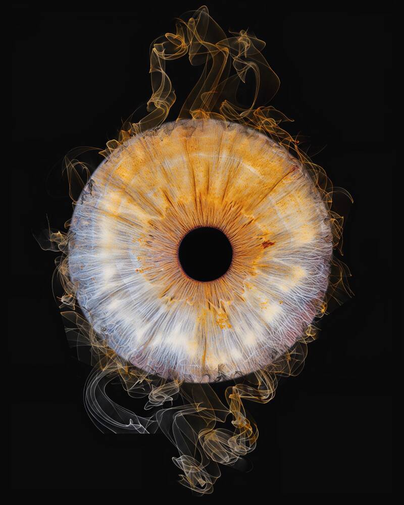 iris-angelo-finaltif-artguru-standard.jpg