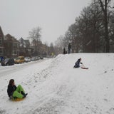 IJzigekouenvolopsneeuw-1.jpg