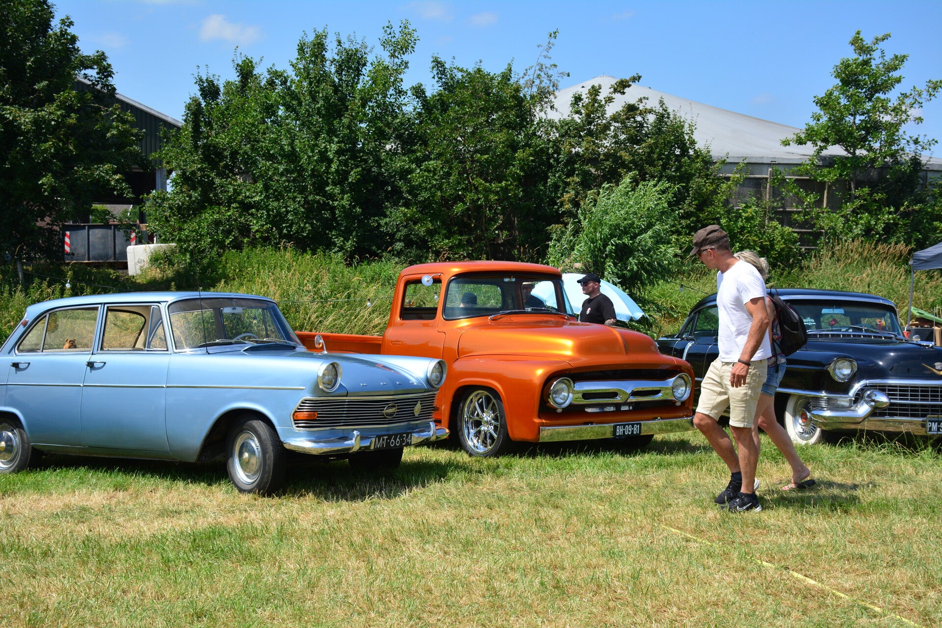 dsc_0010-standard-a3j62x.jpg