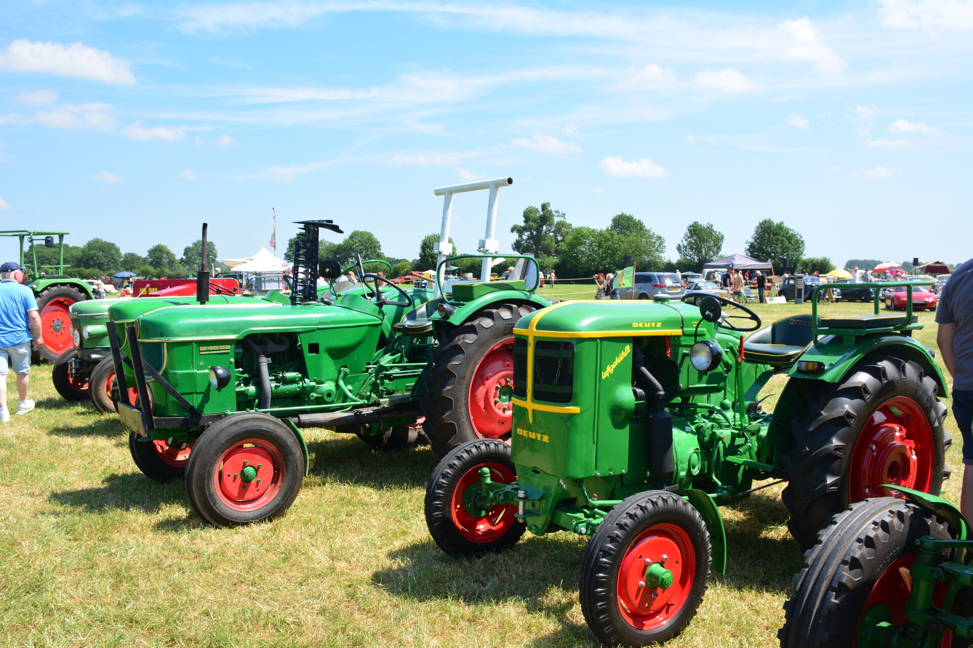 dsc_0030-standard-gy9m3j.jpg