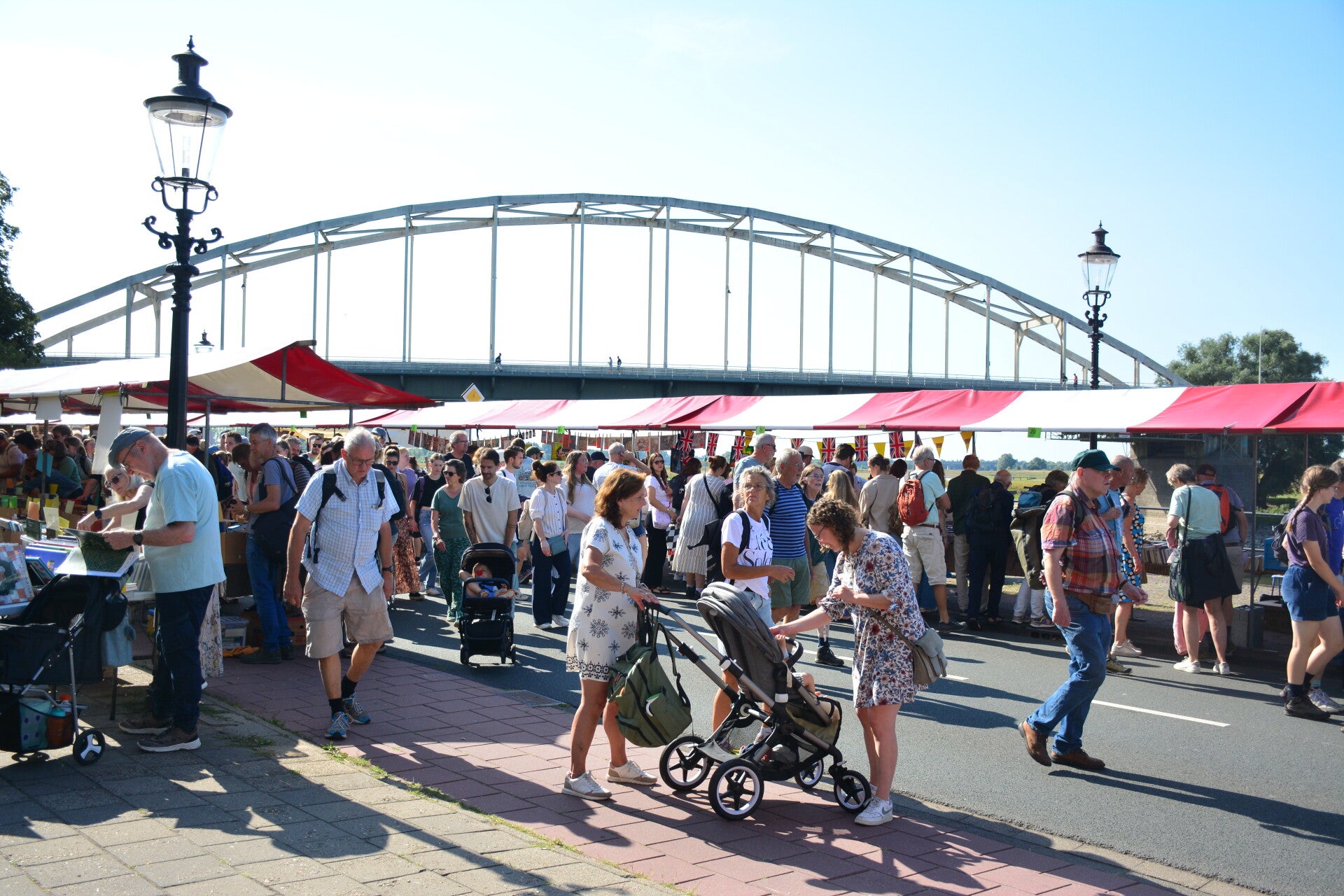 dsc_0051-standard-trczds.jpg
